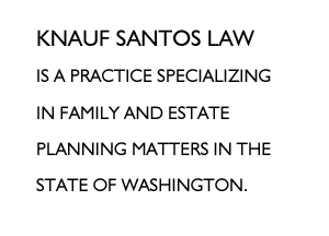 Seattle Divorce Attorney - Erica Knauf Santos
